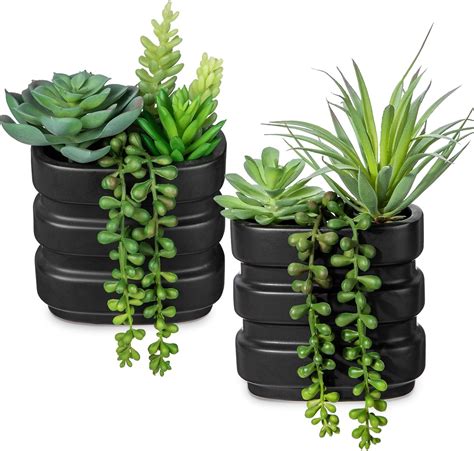 are fake succulents tacky at the office